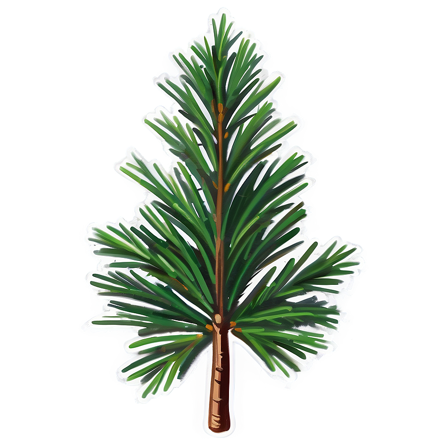 Pine C PNG