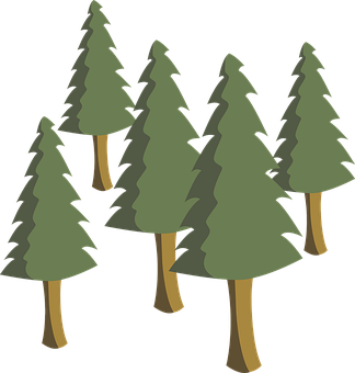 Pine Forest Illustration PNG