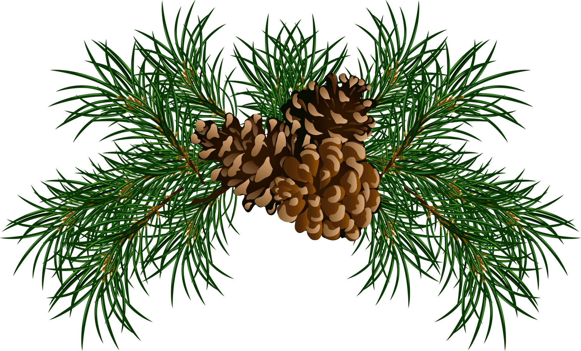 Pine Garland With Cones PNG