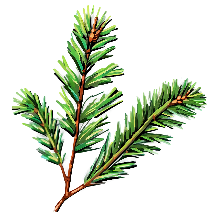 Pine Needle Close-up Png Gsl93 PNG