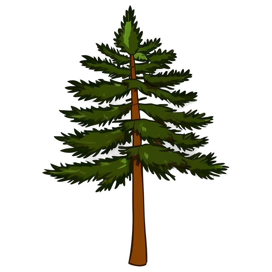 Pine Tree Elevation Illustration Png Eqw PNG