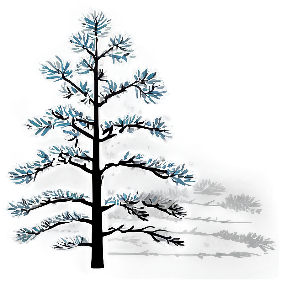 Pine Tree In Four Seasons Png 20 PNG