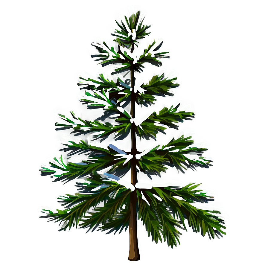 Pine Tree In Four Seasons Png 82 PNG