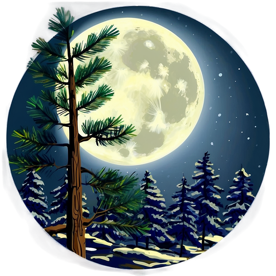 Pine Tree Moonlight Scene Png 16 PNG