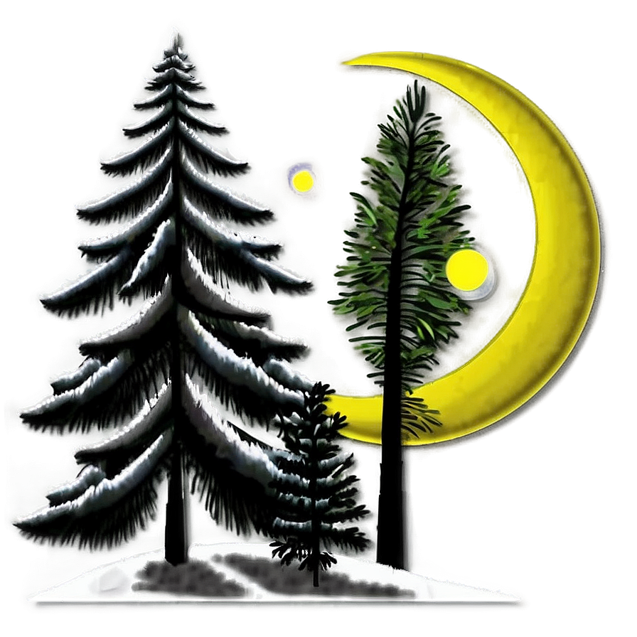 Pine Tree Moonlight Scene Png 61 PNG