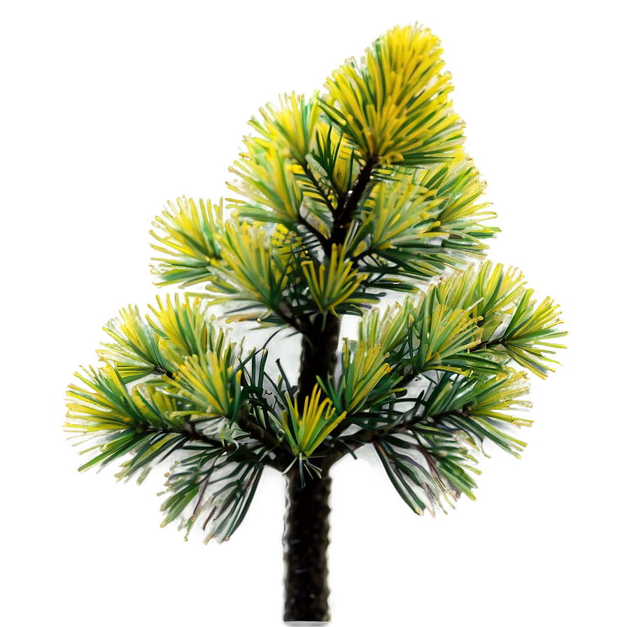 Pine Tree Pollen Cloud Png Swk PNG