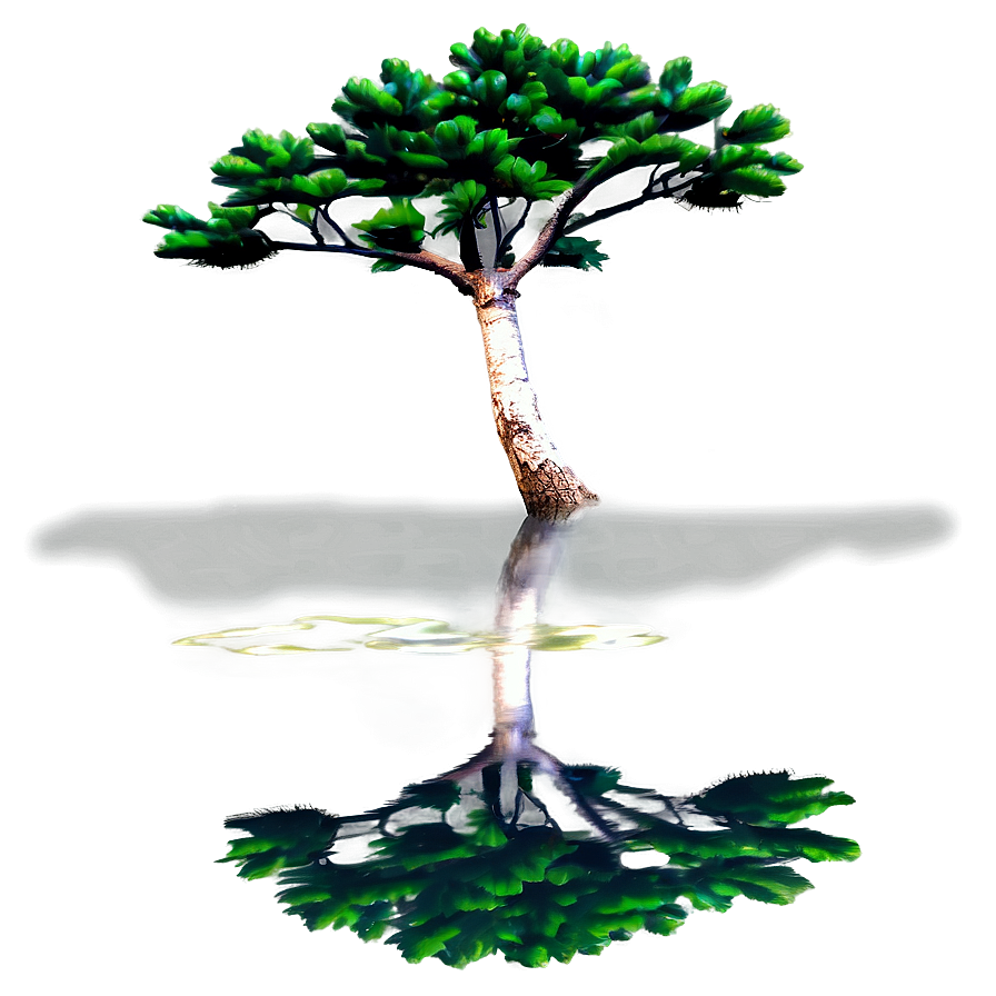 Pine Tree Reflection Water Png Rns9 PNG