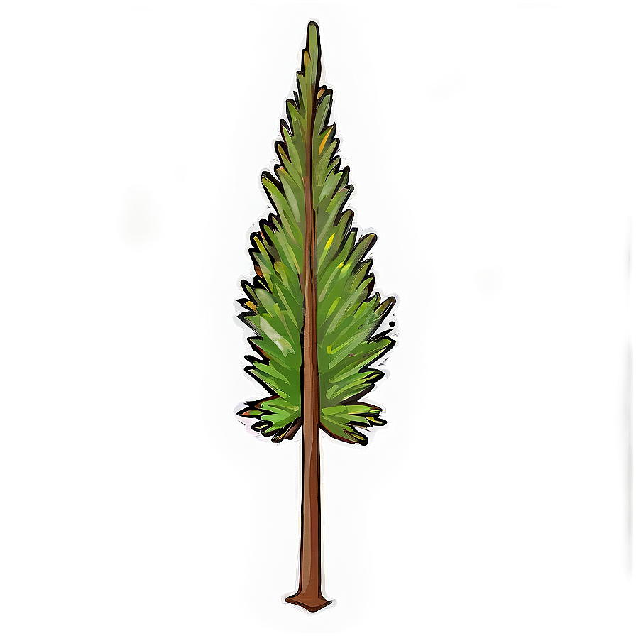 Pine Tree Sapling Png 06132024 PNG