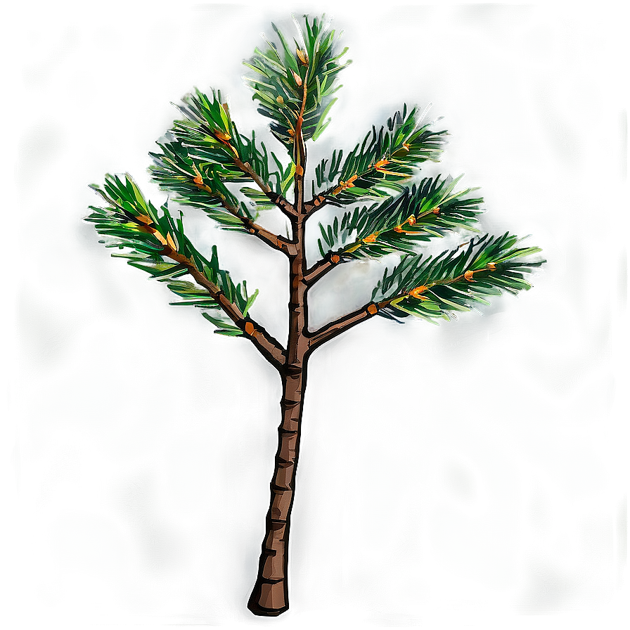 Pine Tree Sapling Png Ert PNG