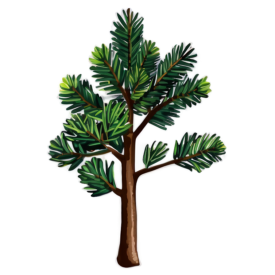 Pine Tree Seedling Png 33 PNG