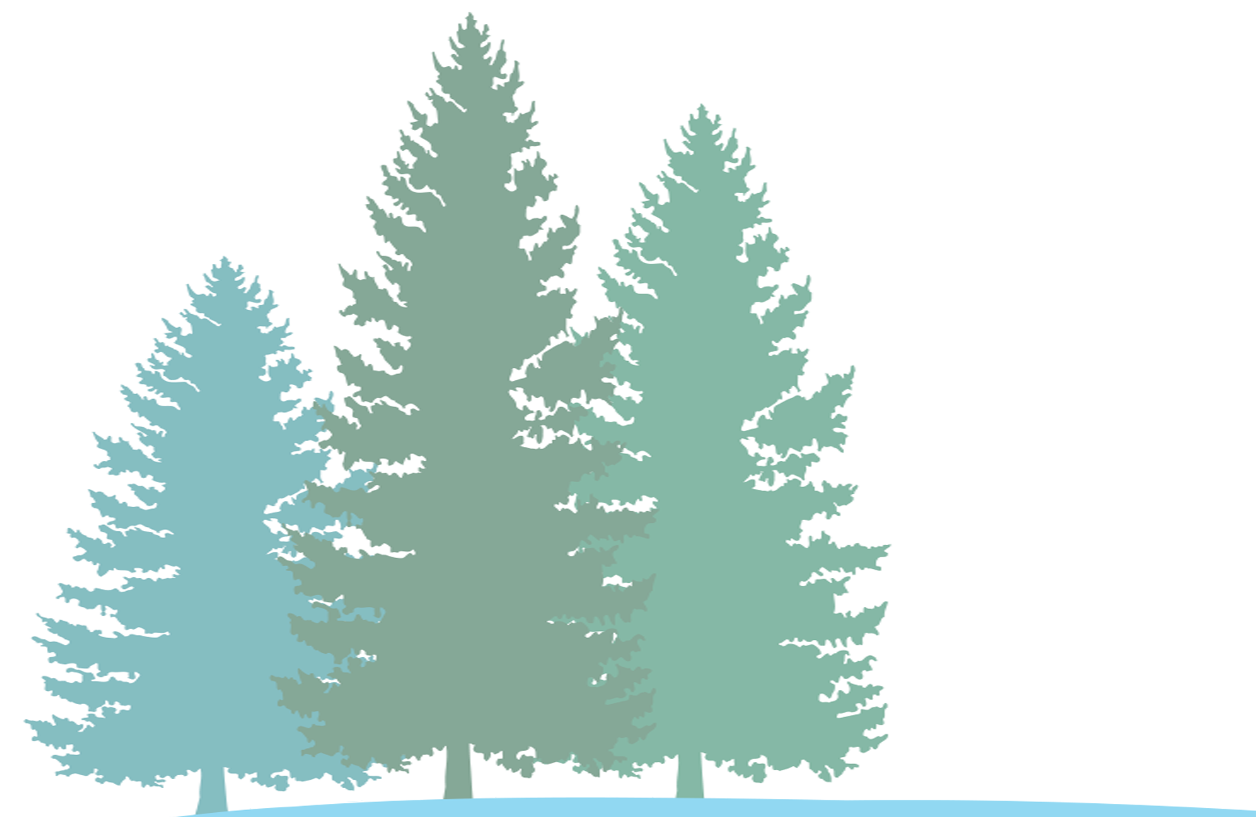 Pine Tree Silhouette Graphic PNG