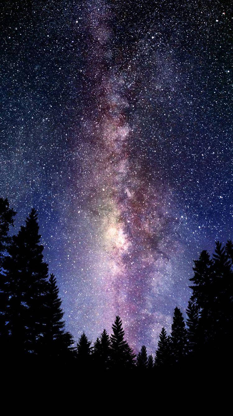 Pine Tree Silhouette On Starry Galaxy Iphone Wallpaper