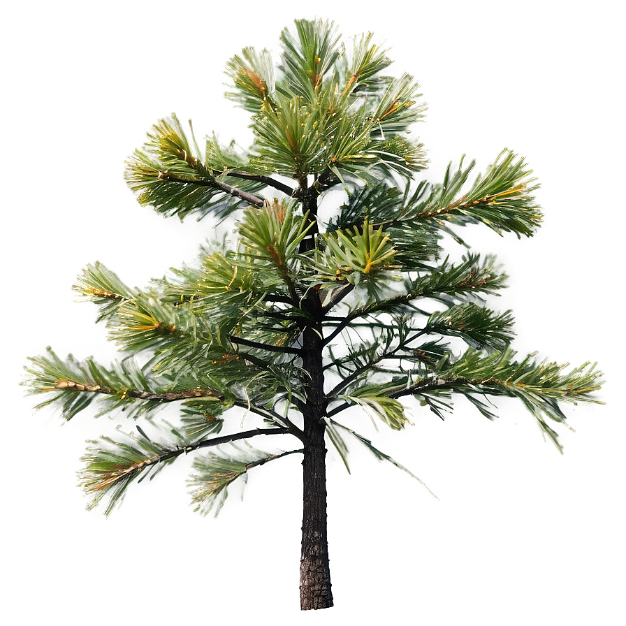 Pine Tree Single Standing PNG — A glowing pine tree with vibrant green needles and dark bark stands against a soft olive background.
