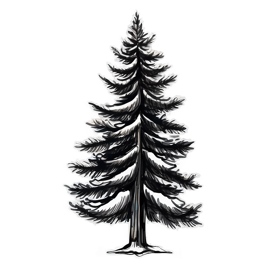 Pine Tree Sketch Png Qby14 PNG