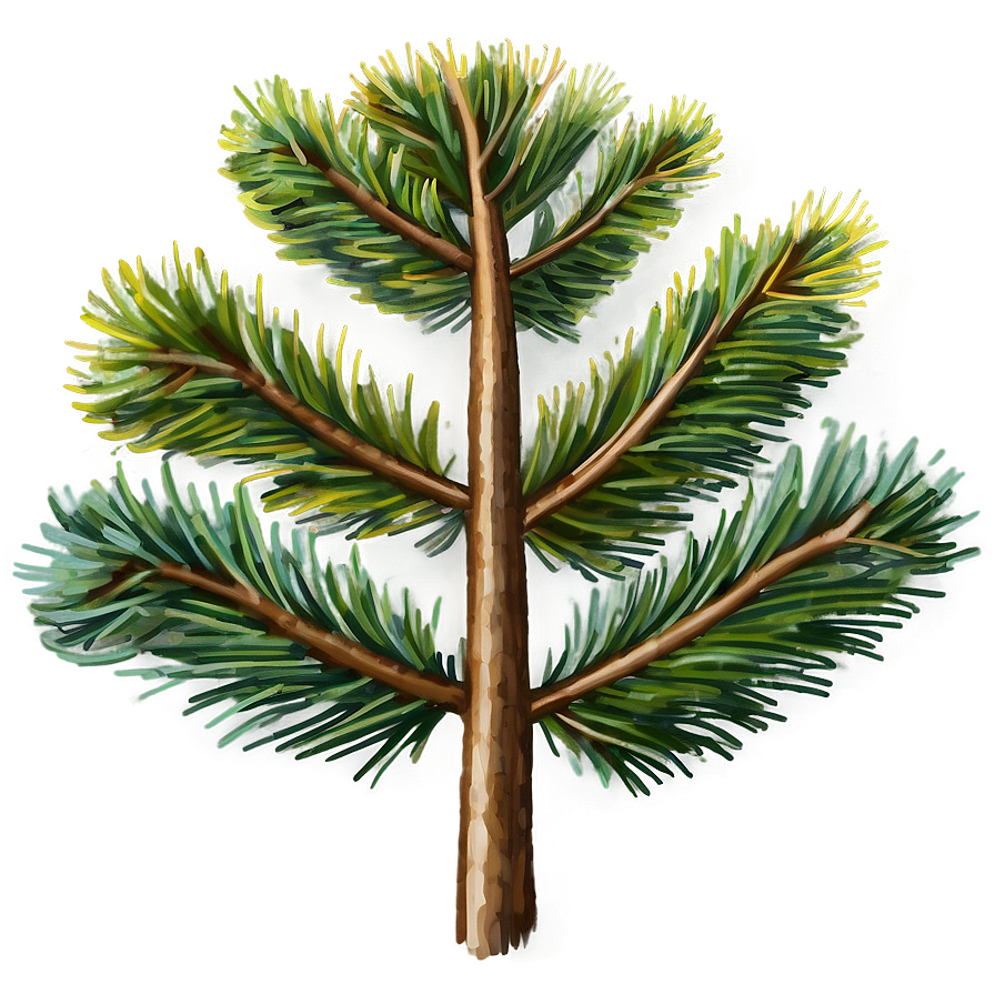 Pine Tree Sketch Png Ton87 PNG