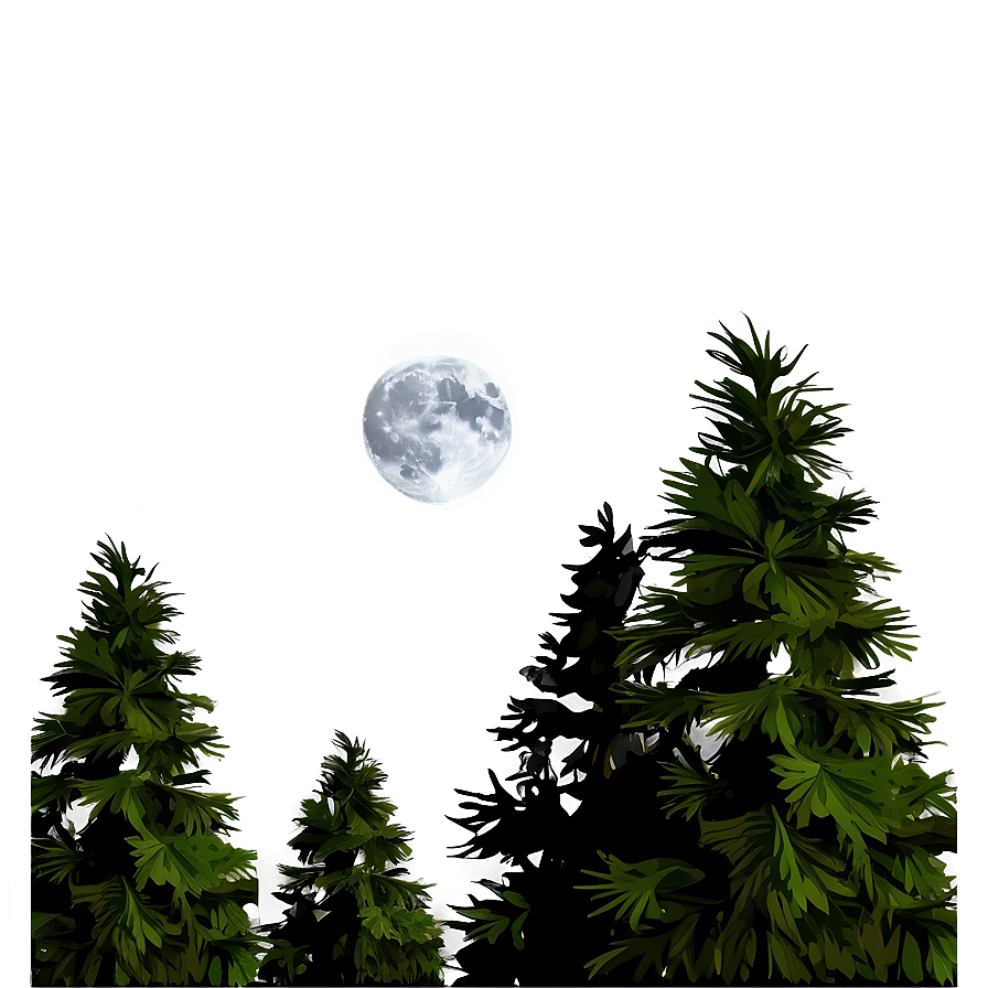 Pine Trees And Moon Png 05252024 PNG