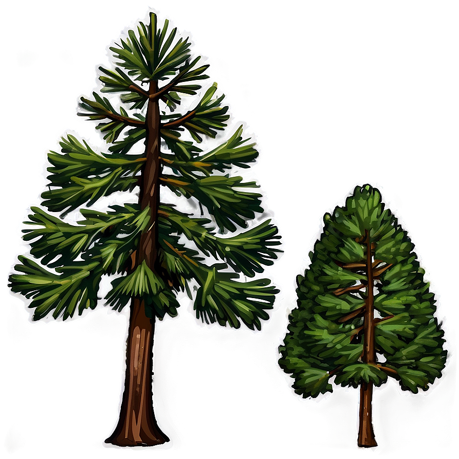 Pine Trees In Landscape Png Fmp PNG
