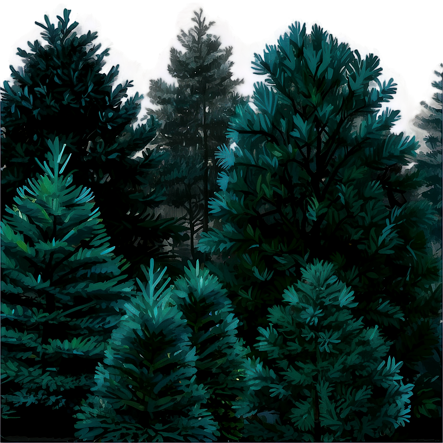 Pine Trees In The Mist Png 05252024 PNG