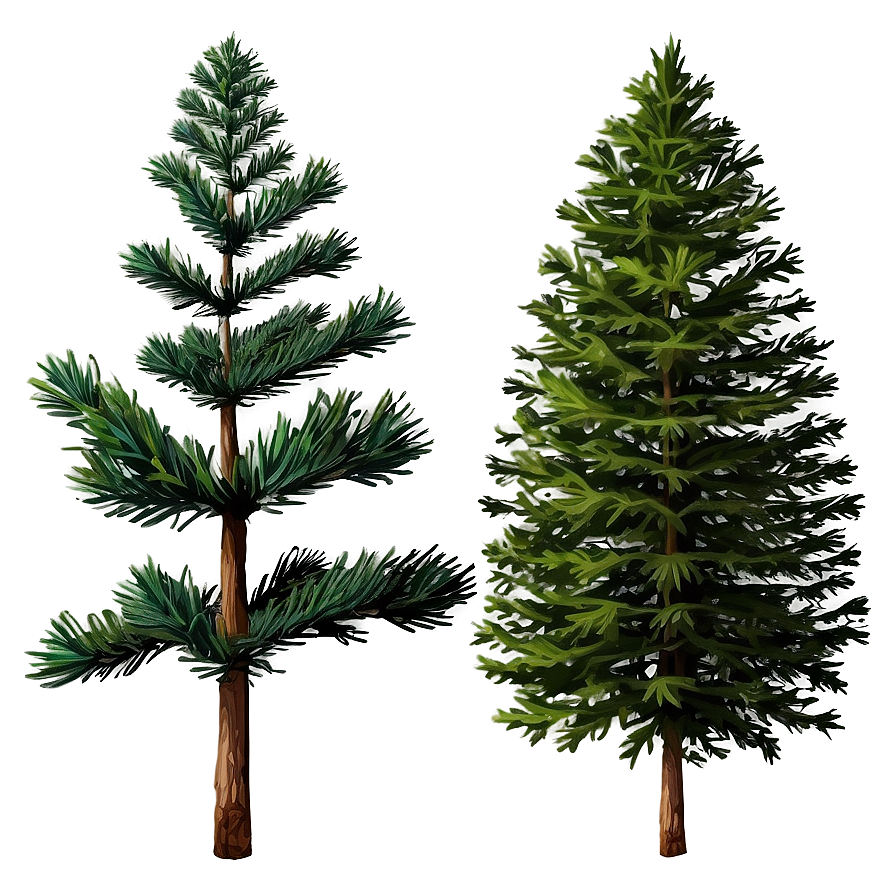 Pine Trees In The Mist Png Mef13 PNG