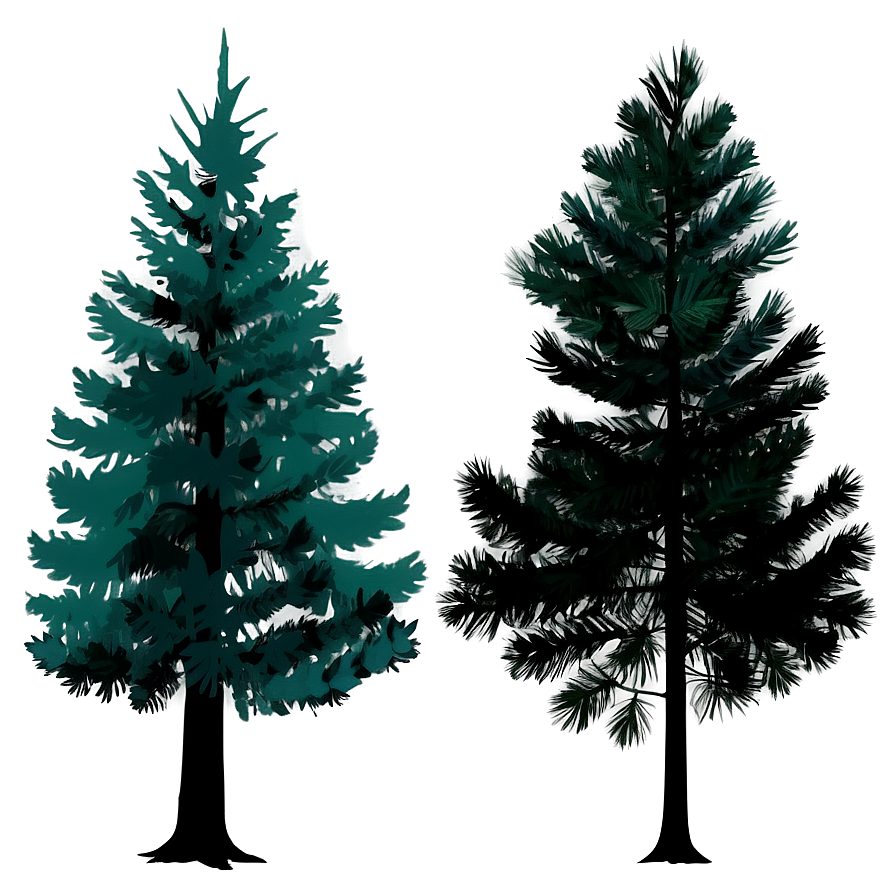 Download Pine Trees Silhouette Png Crv | Wallpapers.com