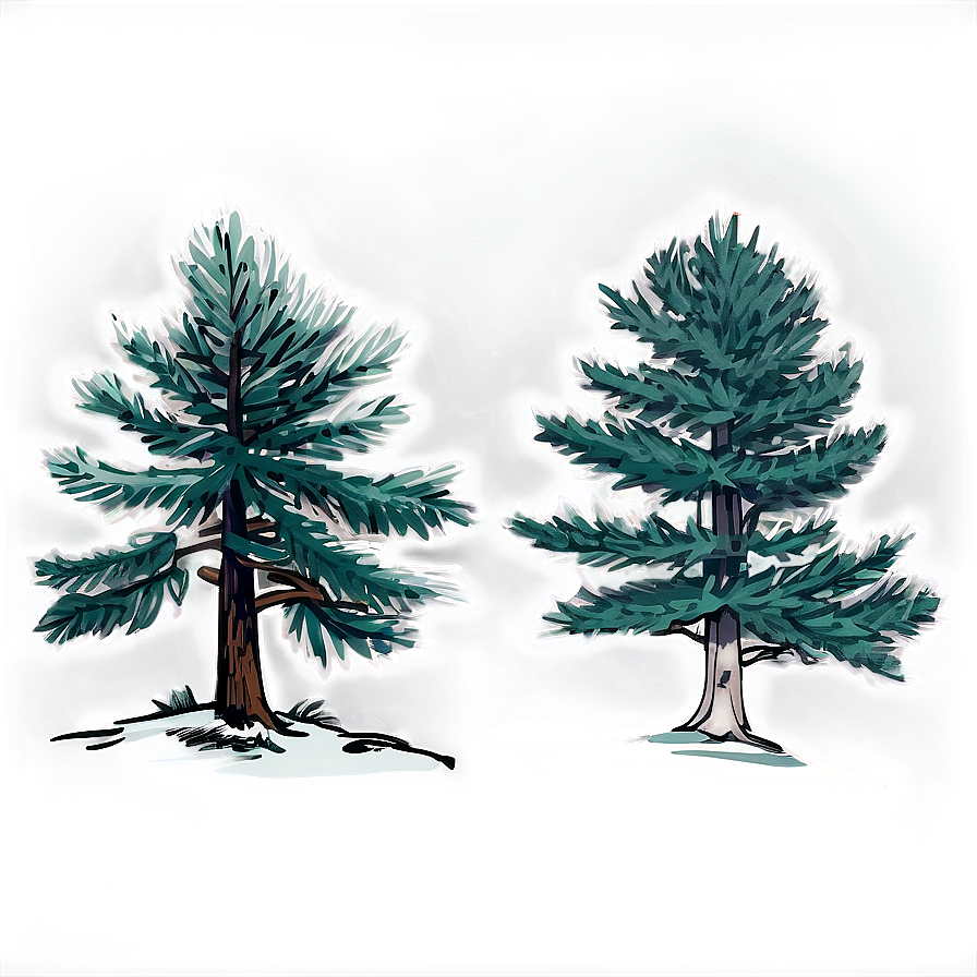 Pine Trees Sketch Png 05252024 PNG