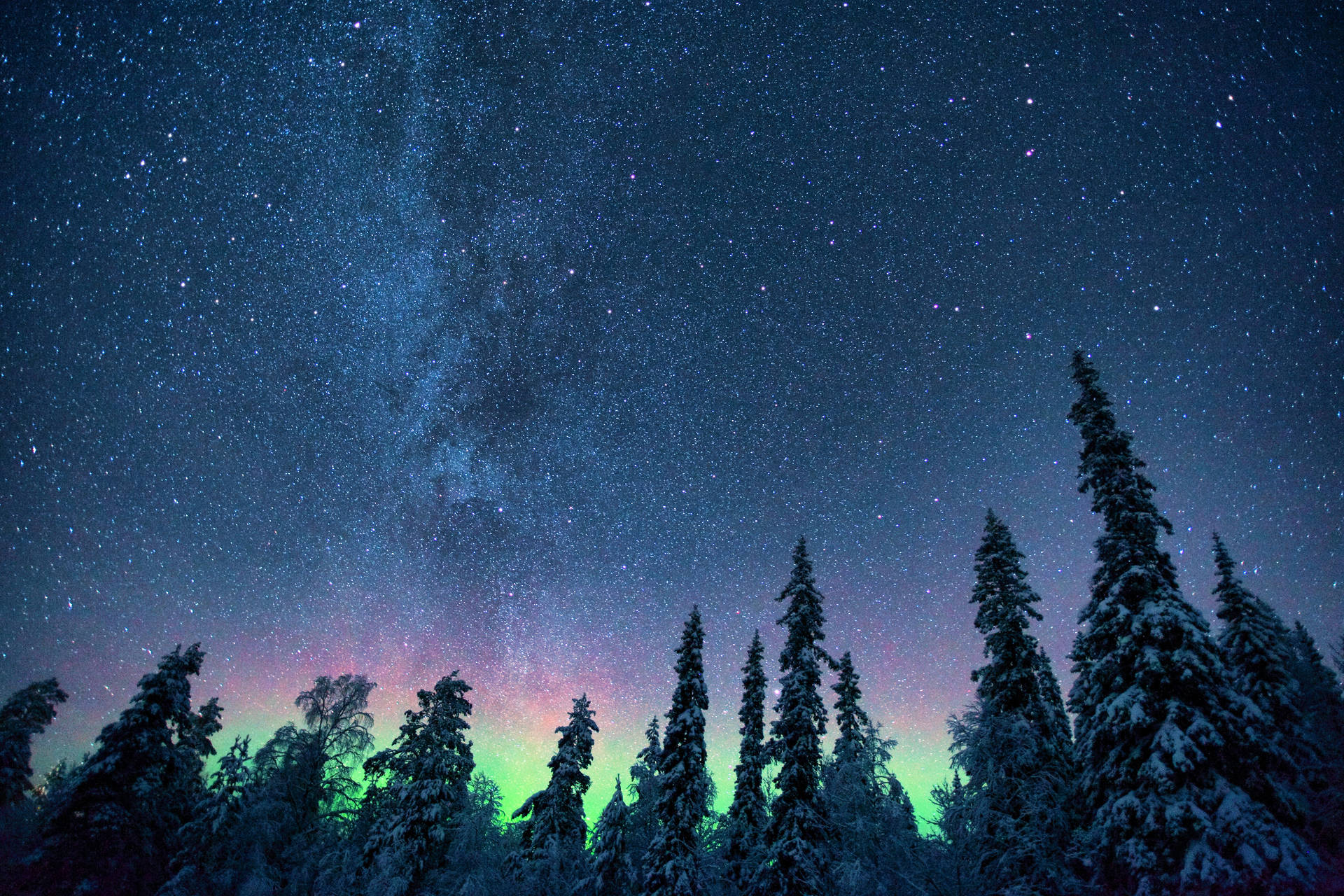 Pine Trees Starry Night Northern Lights Wallpaper