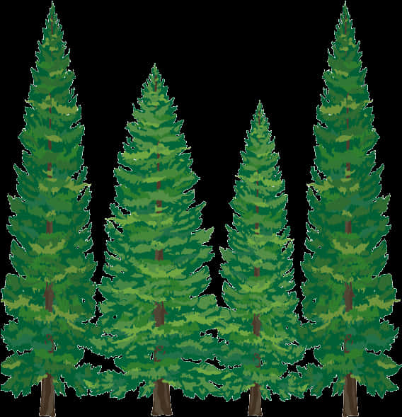 Pine_ Tree_ Collection_ Vector PNG