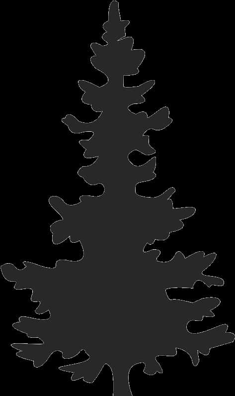 Pine_ Tree_ Silhouette_ Vector PNG