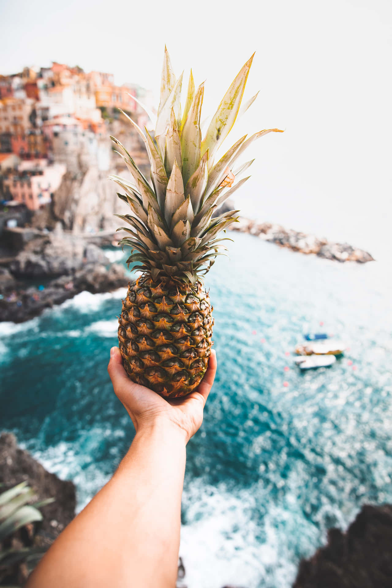Appealing Pineapple Background