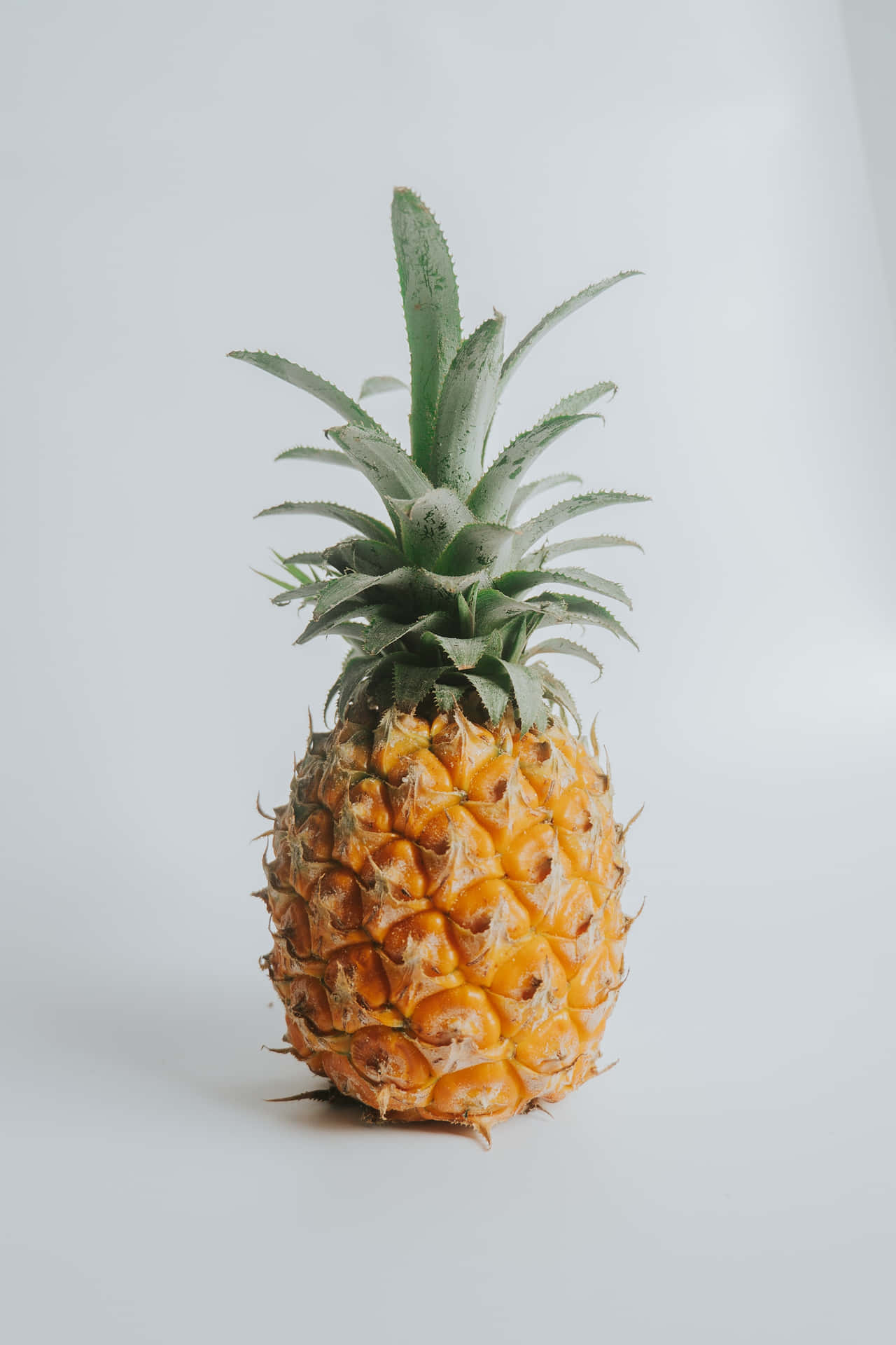 Enjoy the sweetness of pineapple!