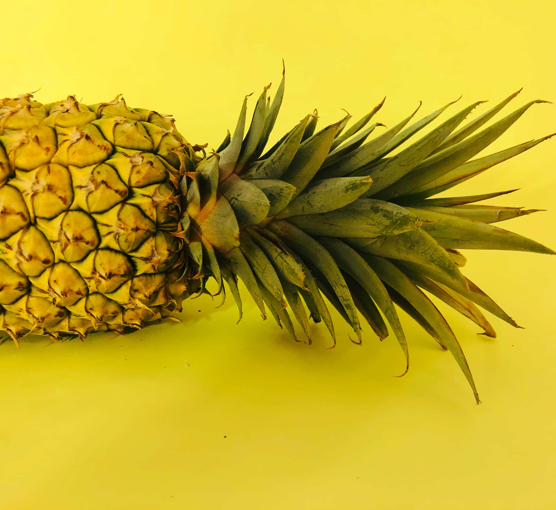 Appreciate the sweet and juicy taste of pineapple!