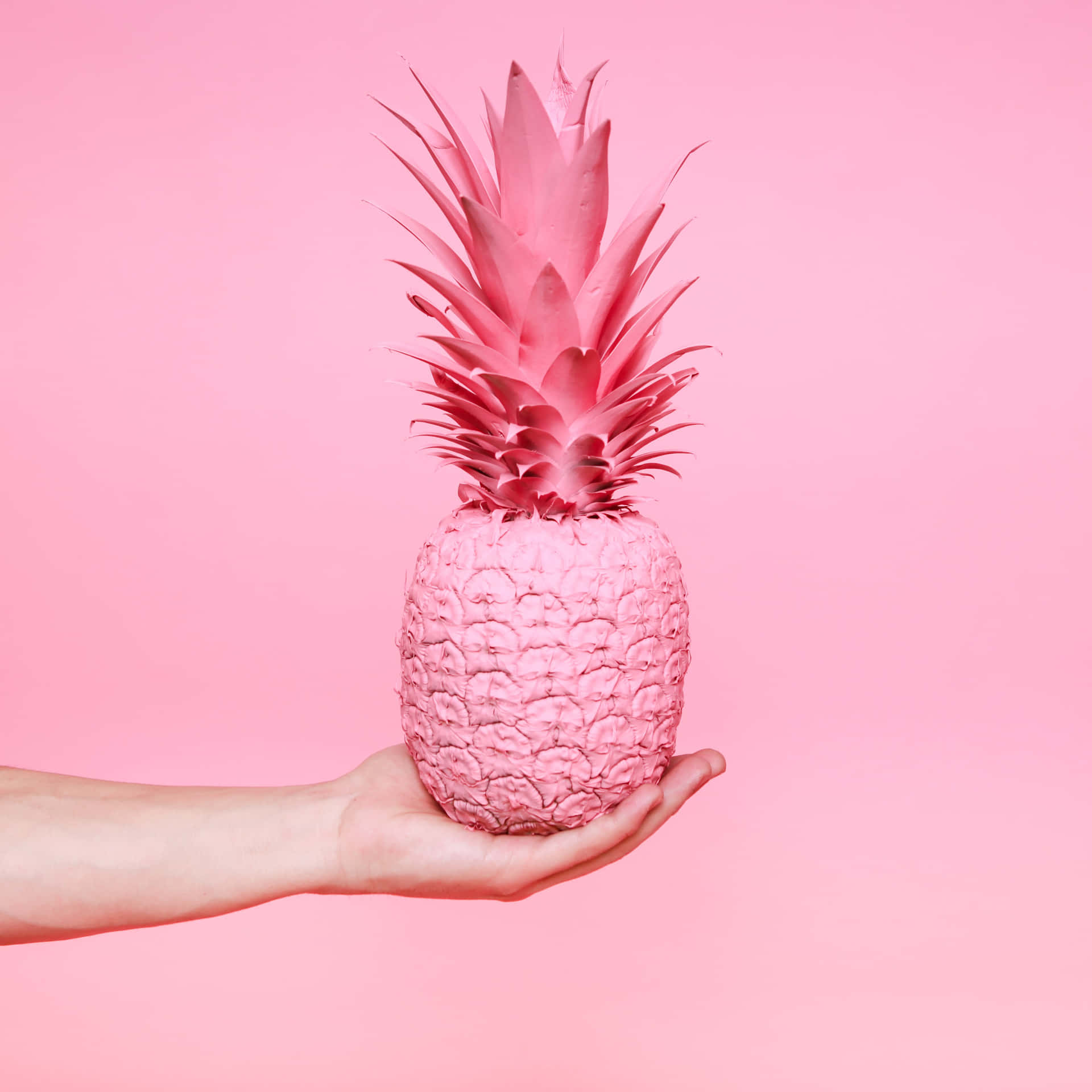 A Hand Holding A Pink Pineapple On A Pink Background