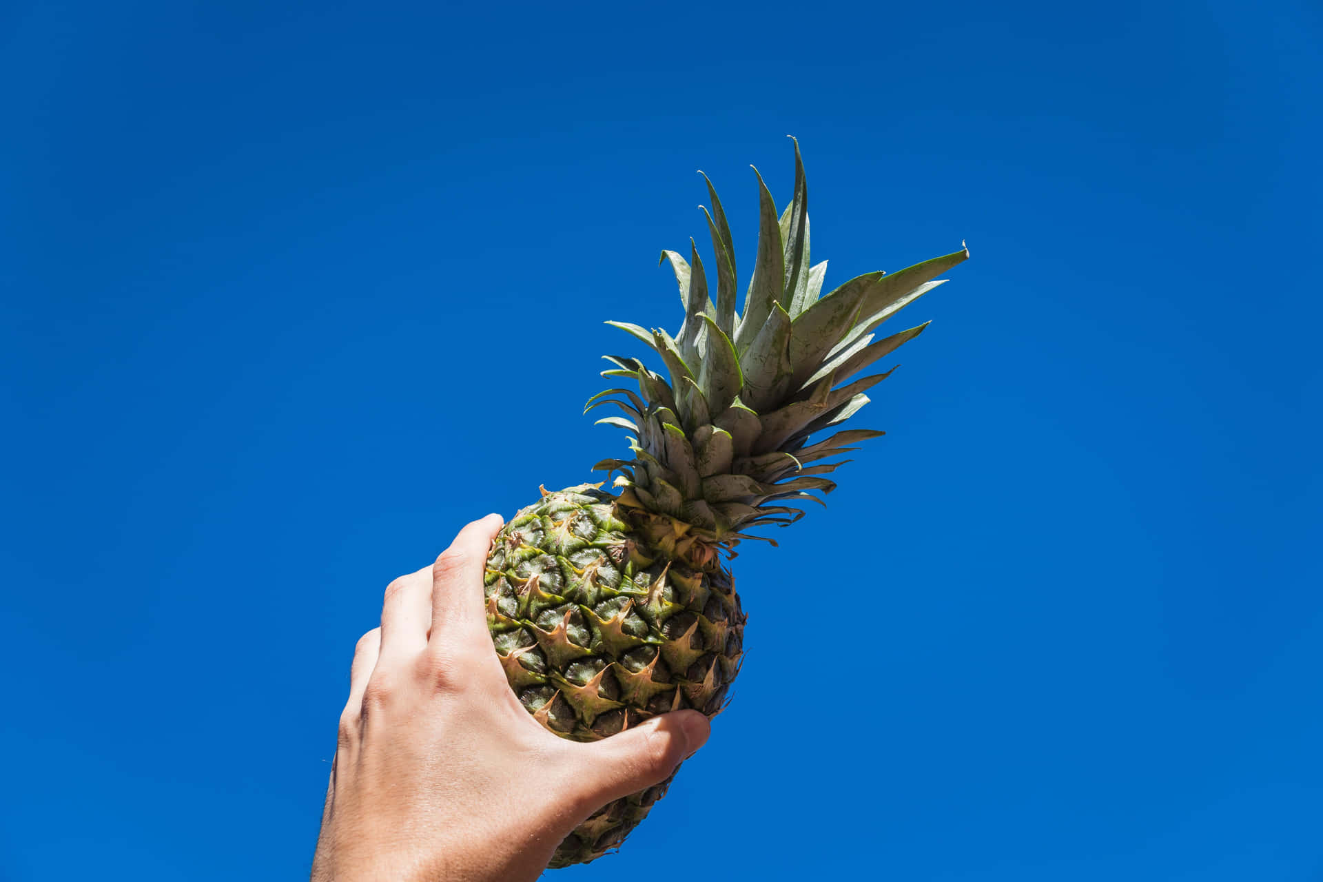 A tropical Pineapple against a vibrant background