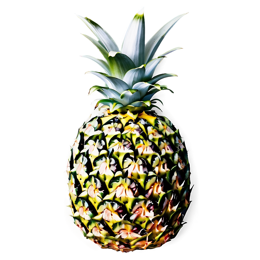 Pineapple Fresh Cut Png Nix56 PNG