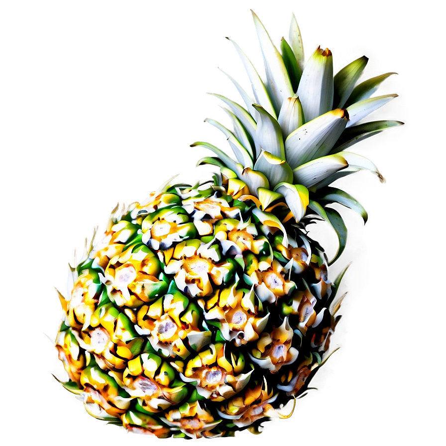 Pineapple Fruit Png 37 PNG