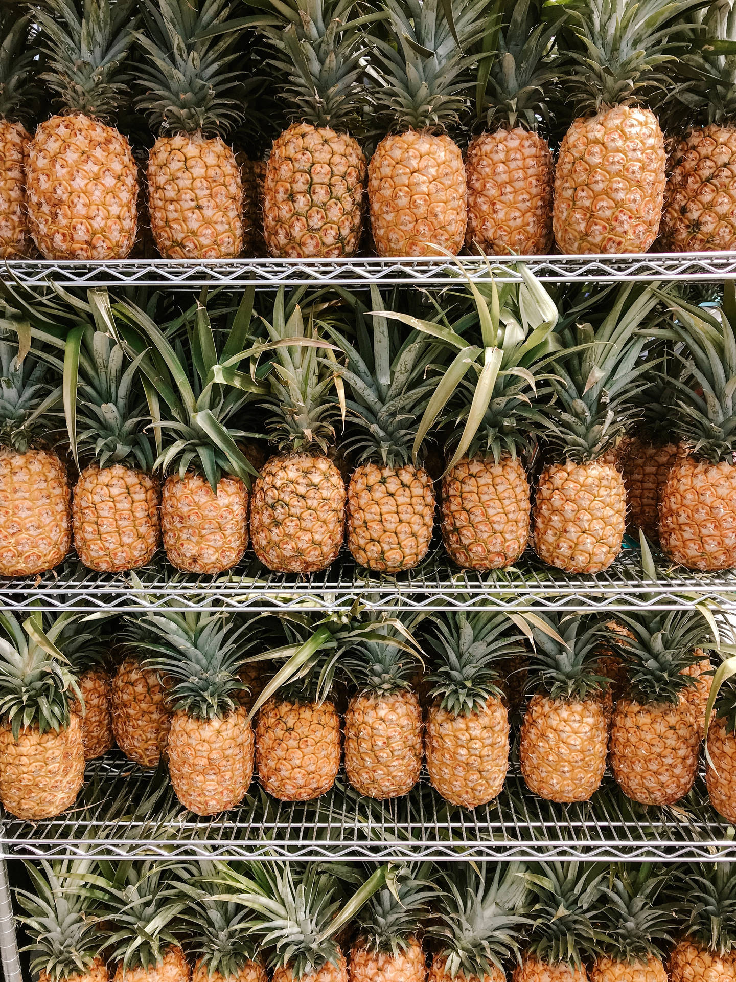 A Delicious Pineapple Ripening on a Shelf Wallpaper