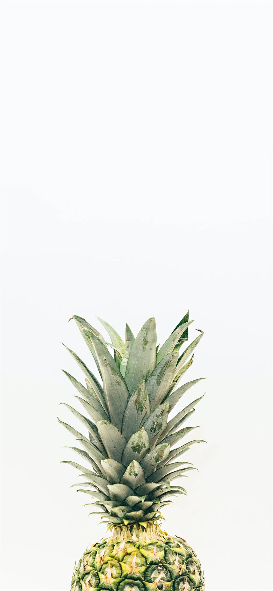 Pineapple iPhone 2021 baggrundsbillede: 