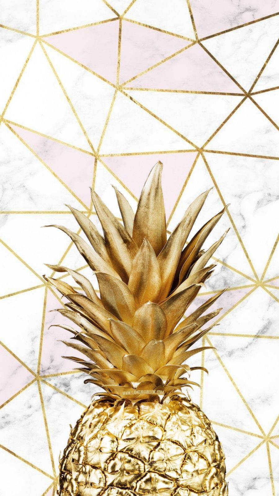 Pineapple iPhone Wallpapers  Top Free Pineapple iPhone Backgrounds   WallpaperAccess