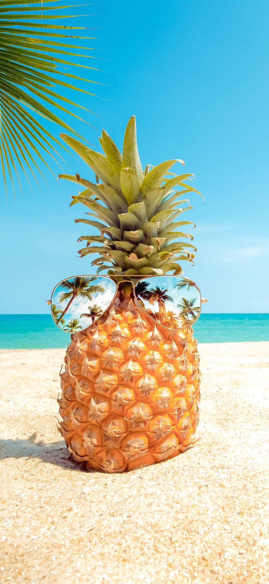 Invest In the Best with the Pineapple Iphone Wallpaper