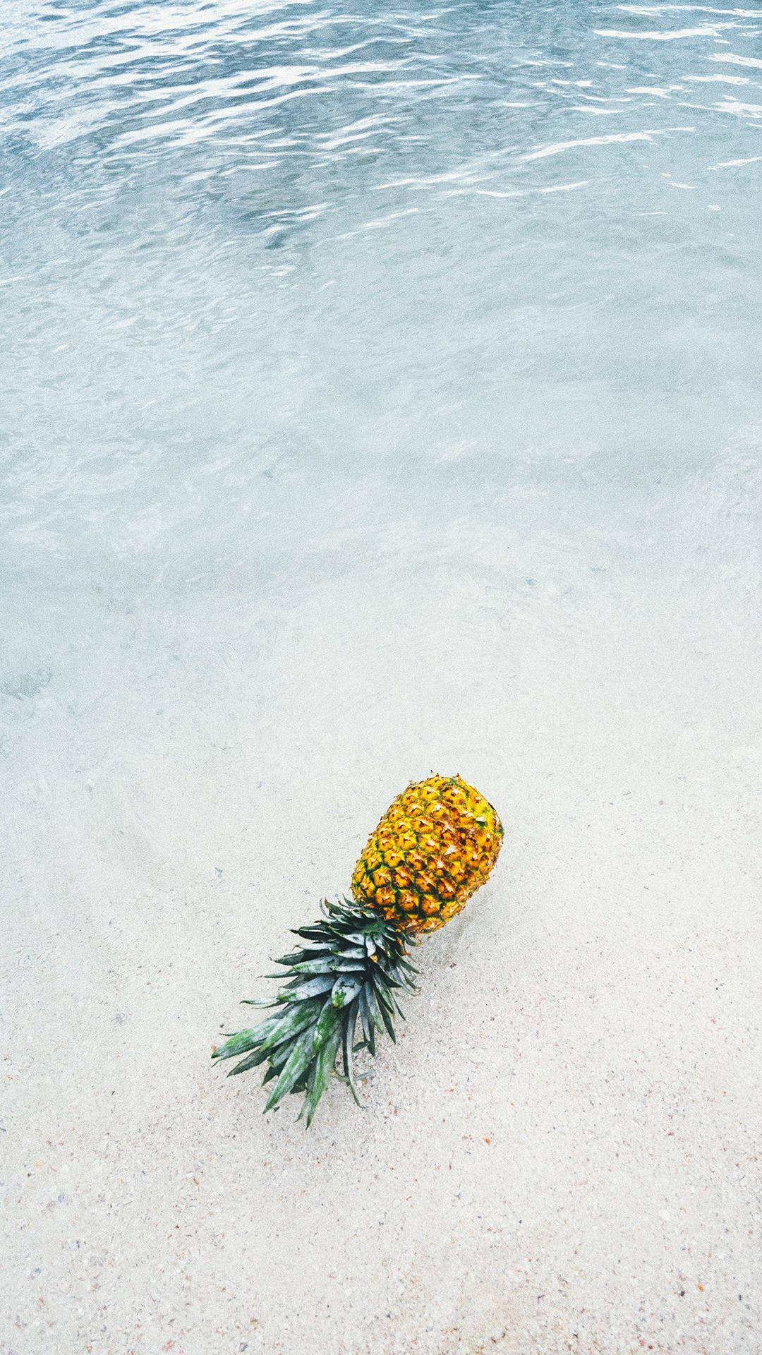 Lovely Pineapple Iphone Screen Wallpaper