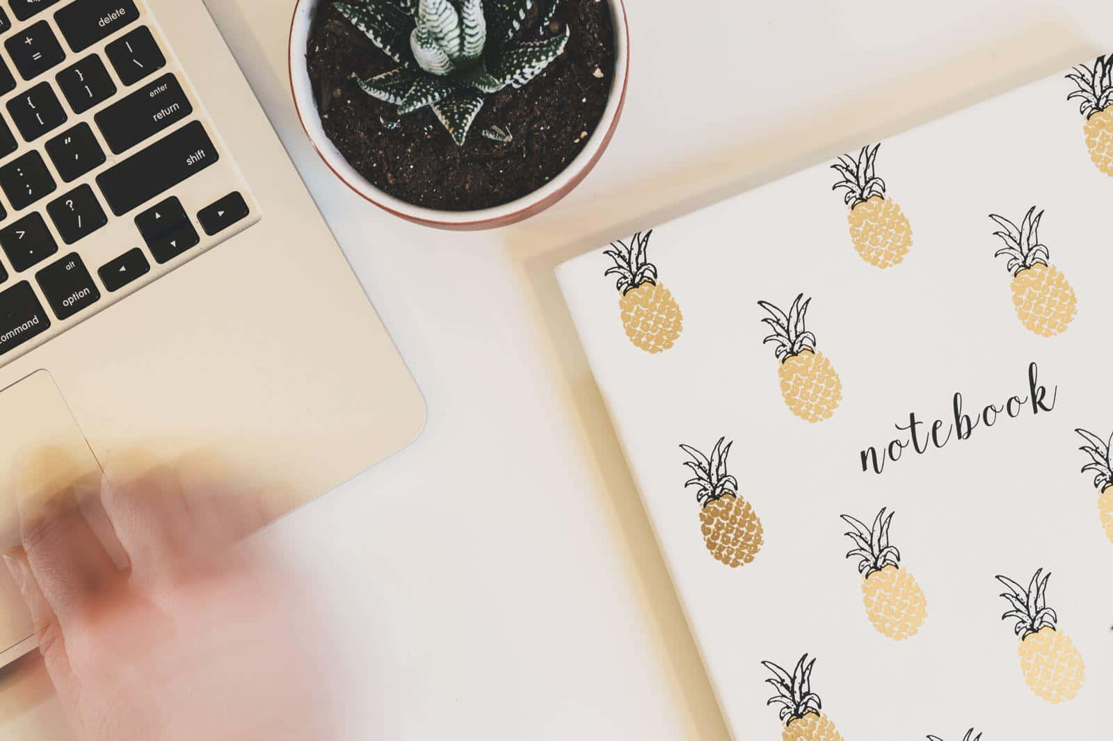 Pineapple Notebookand Laptop Setup Wallpaper