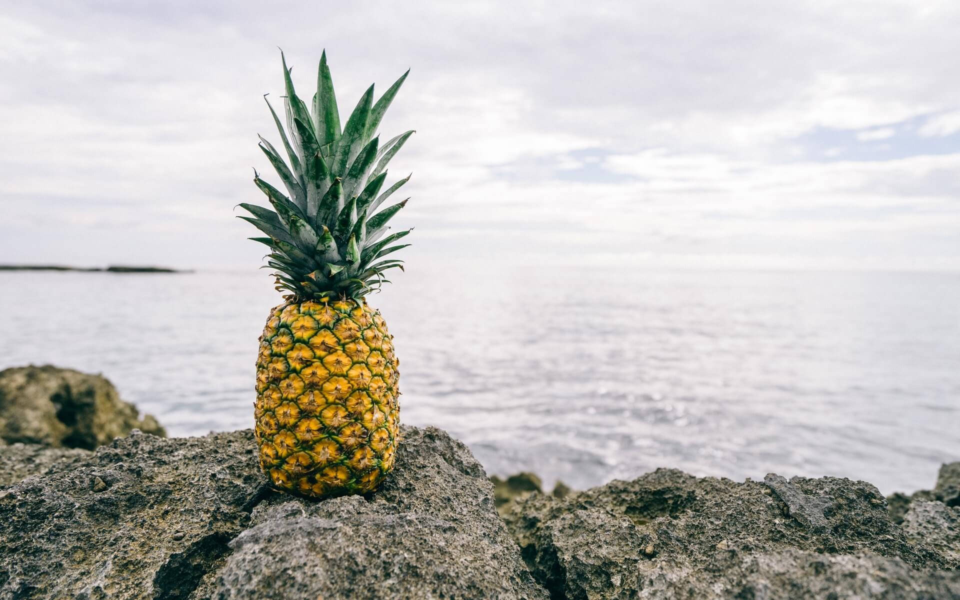 A golden pineapple resting on a rocky shore on a sunny day. Wallpaper