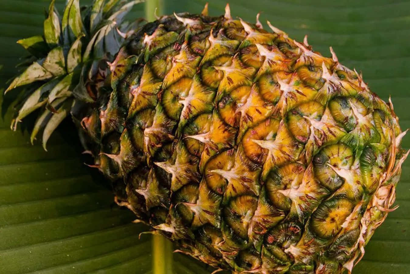 A sweet and juicy pineapple!