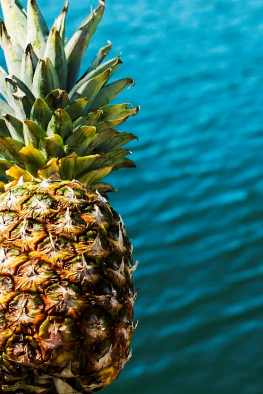 Enjoy a Sweet and Tasty Pineapple