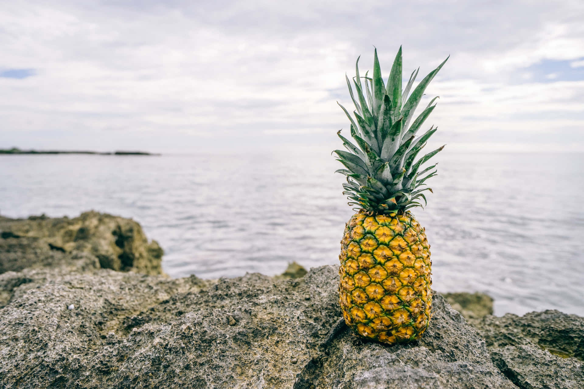 A bright yellow pineapple rests atop a vibrant green background.