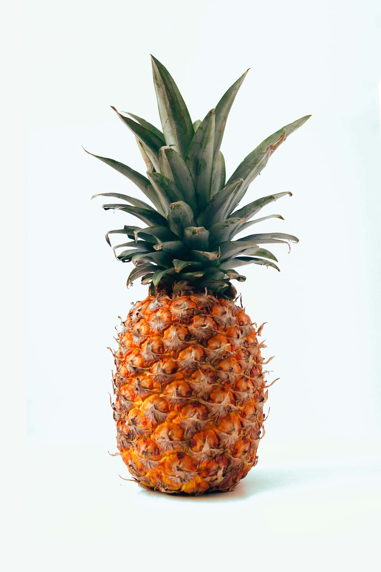 A Fresh and Juicy Pineapple