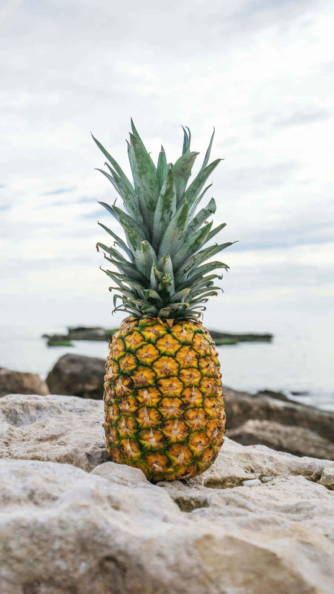 A ripe and juicy Pineapple ready to be eaten!