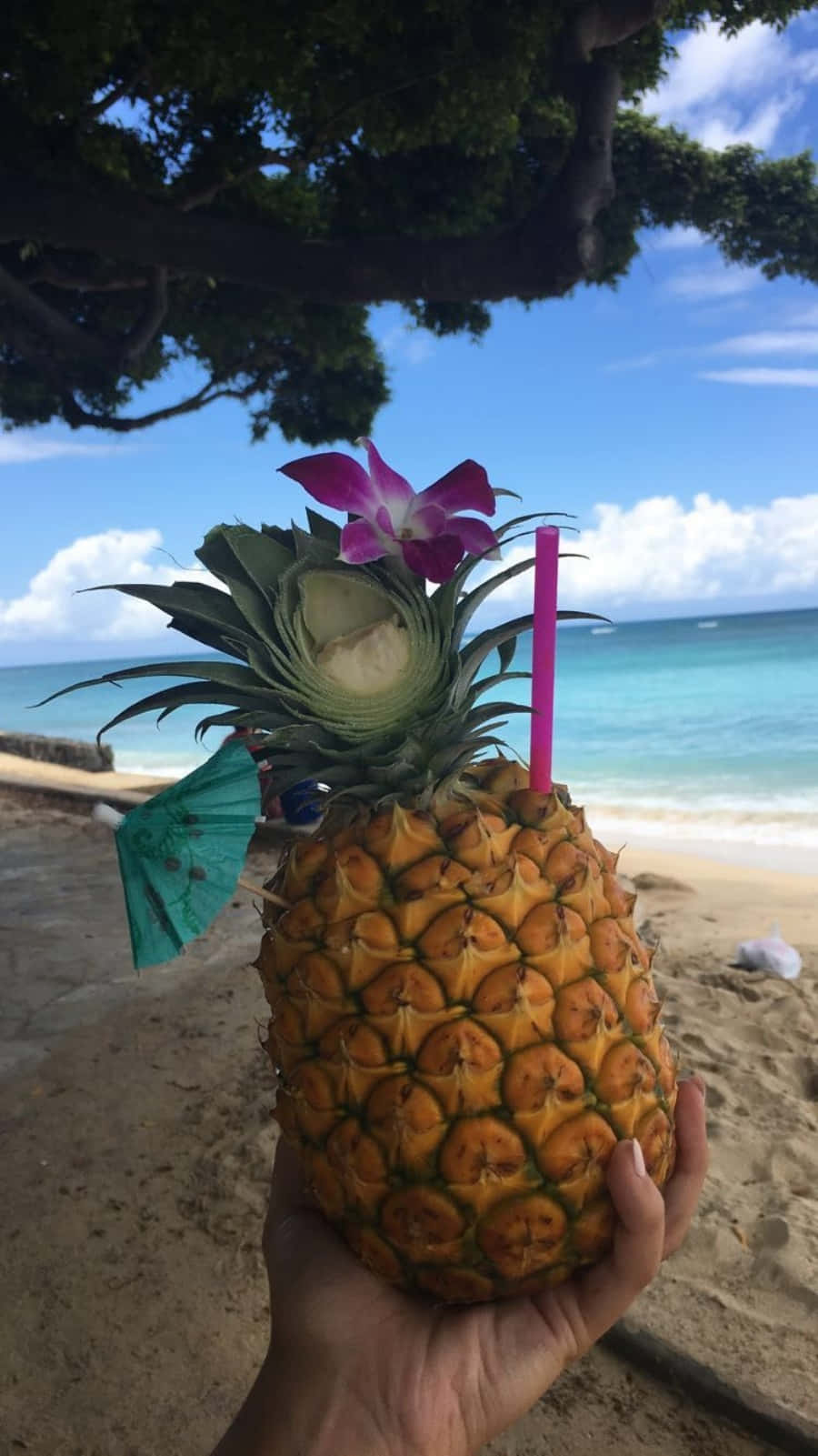 A Fresh Pineapple Perfect for Juicing Up Your Day