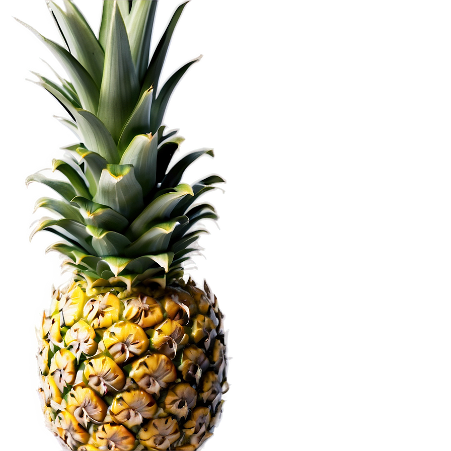 Pineapple Piece Png Wnx91 PNG