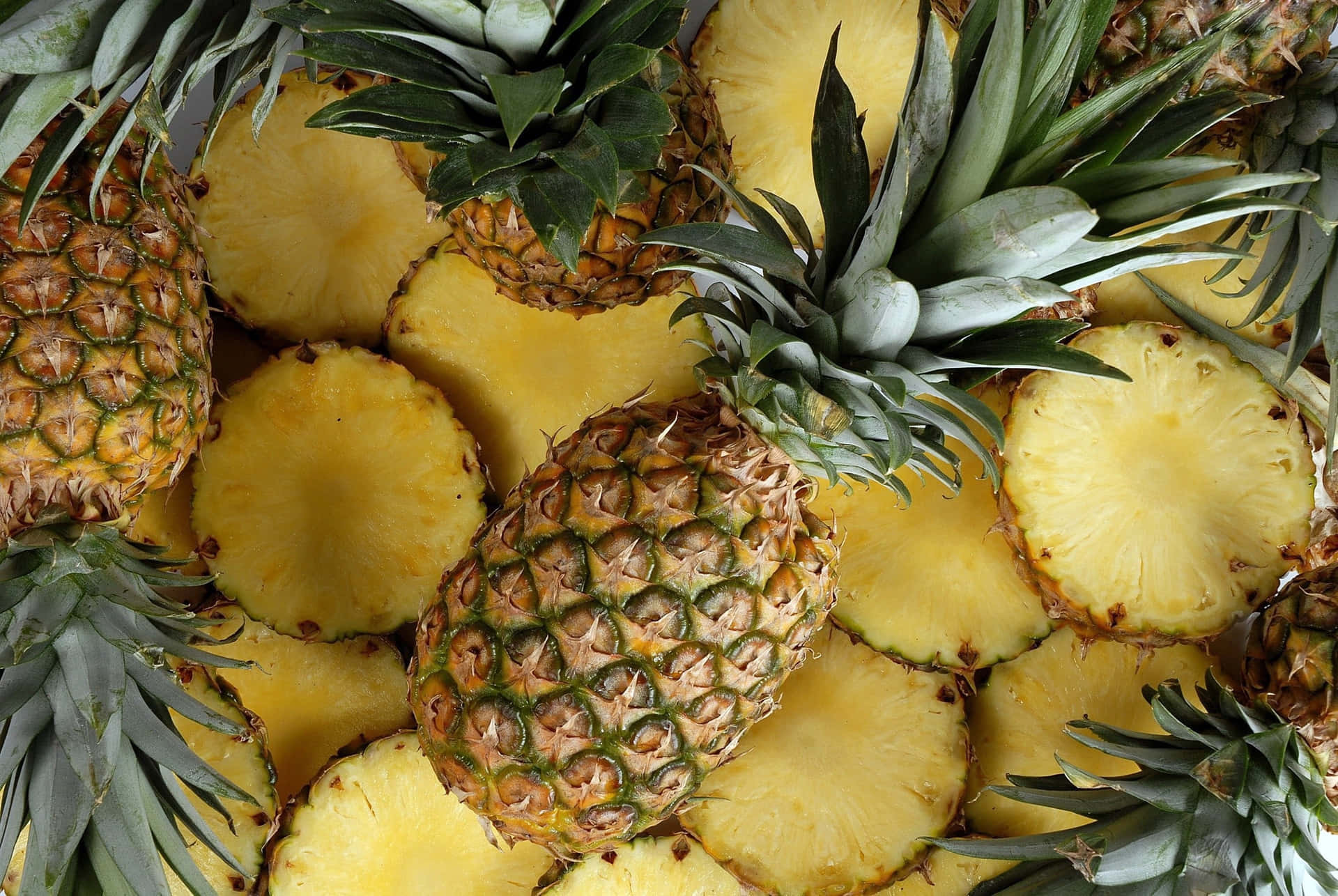 Ananasväxtfrukt Skivor Fotografi Bild
